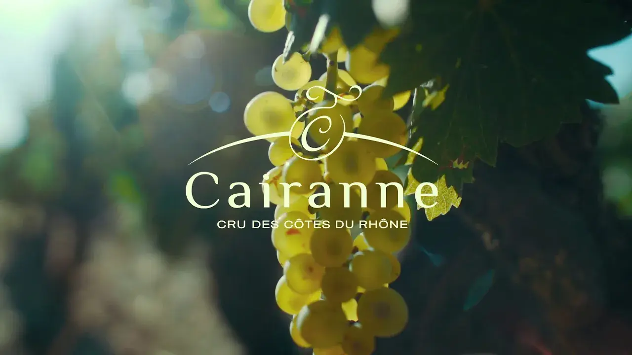 Le temps des vendanges à Cairanne !