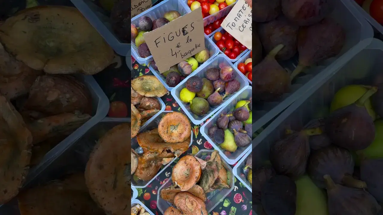 Un aperçu en vidéo...