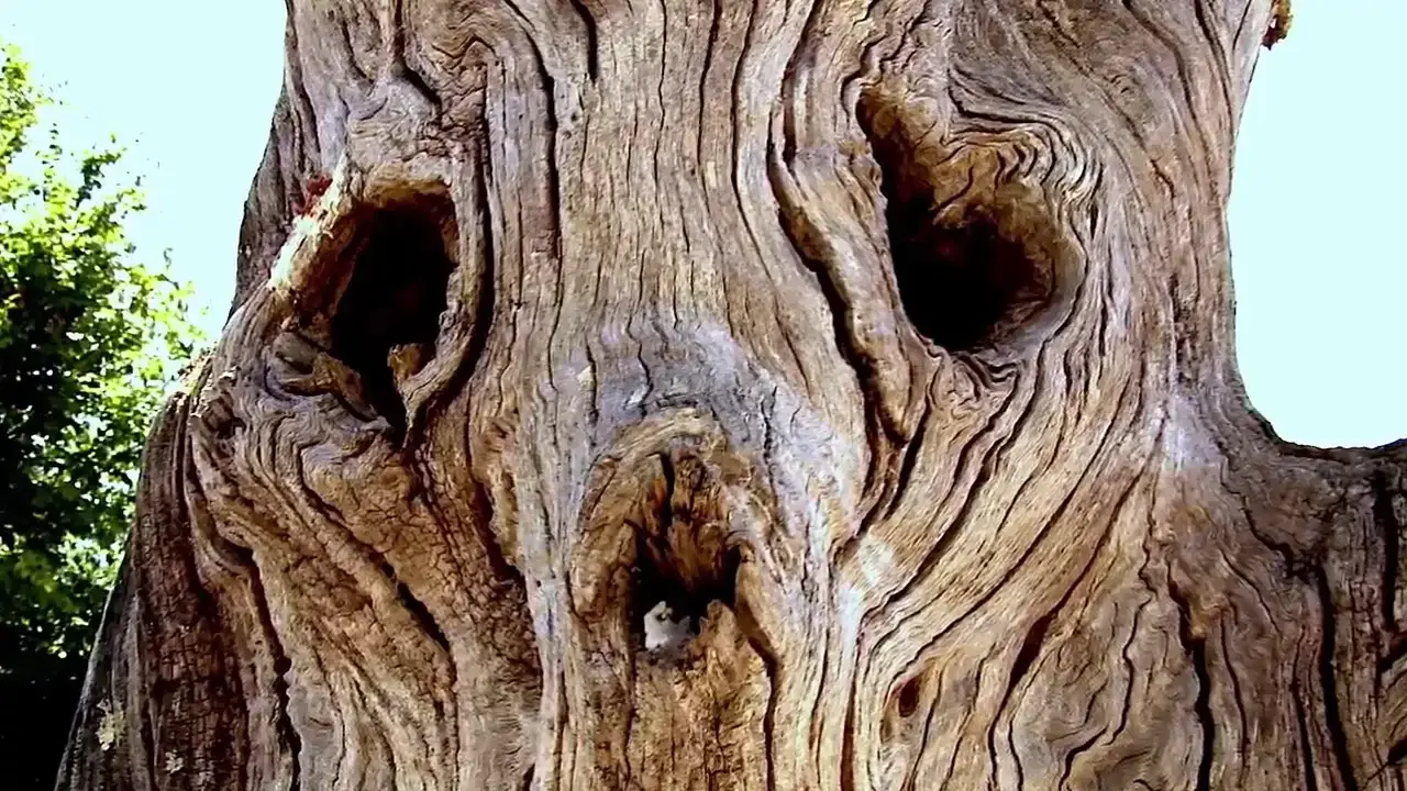 Découvrez des sites naturels insolites en Vendômois