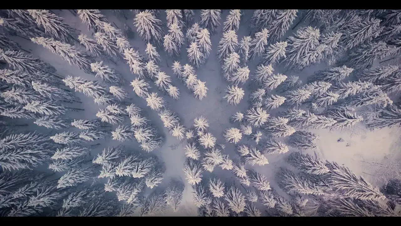 la vallée d'aulps en hiver