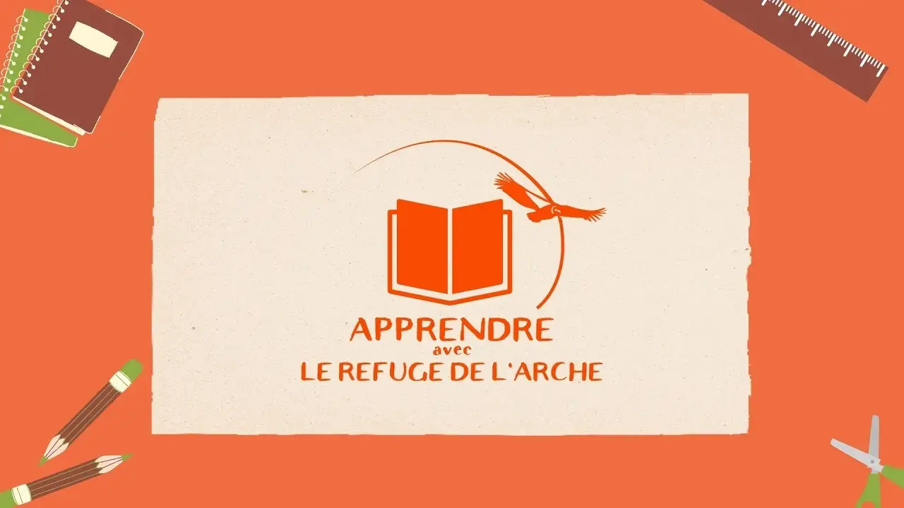 Le Refuge de l'Arche lance une nouvelle catégorie de vidéos sur le monde animalier !