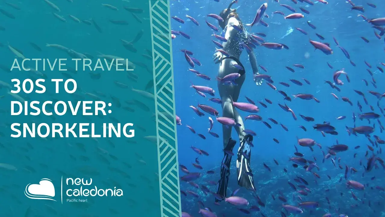 30 seconds to discover : Snorkeling in New Caledonia