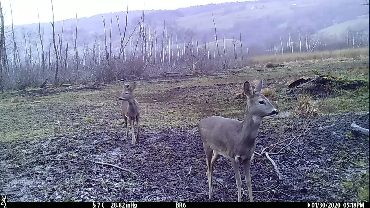 la vie cachée de l’ens de l’herrétang