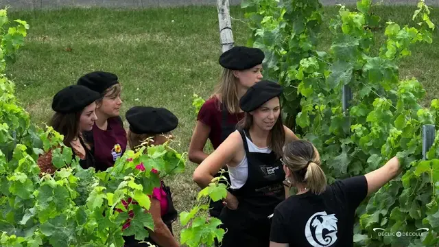 Visite ludique et décalée au Domaine viticole de Grange Neuve