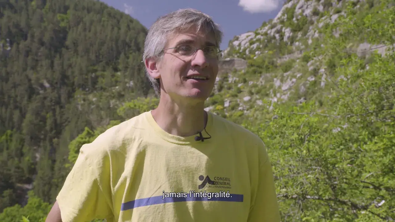 les fouilles du site de petra castellana