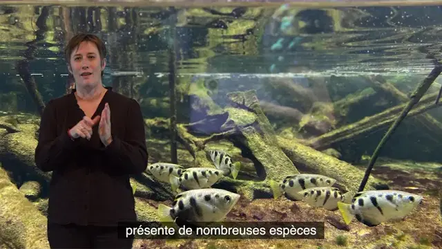 Le Muséum-Aquarium