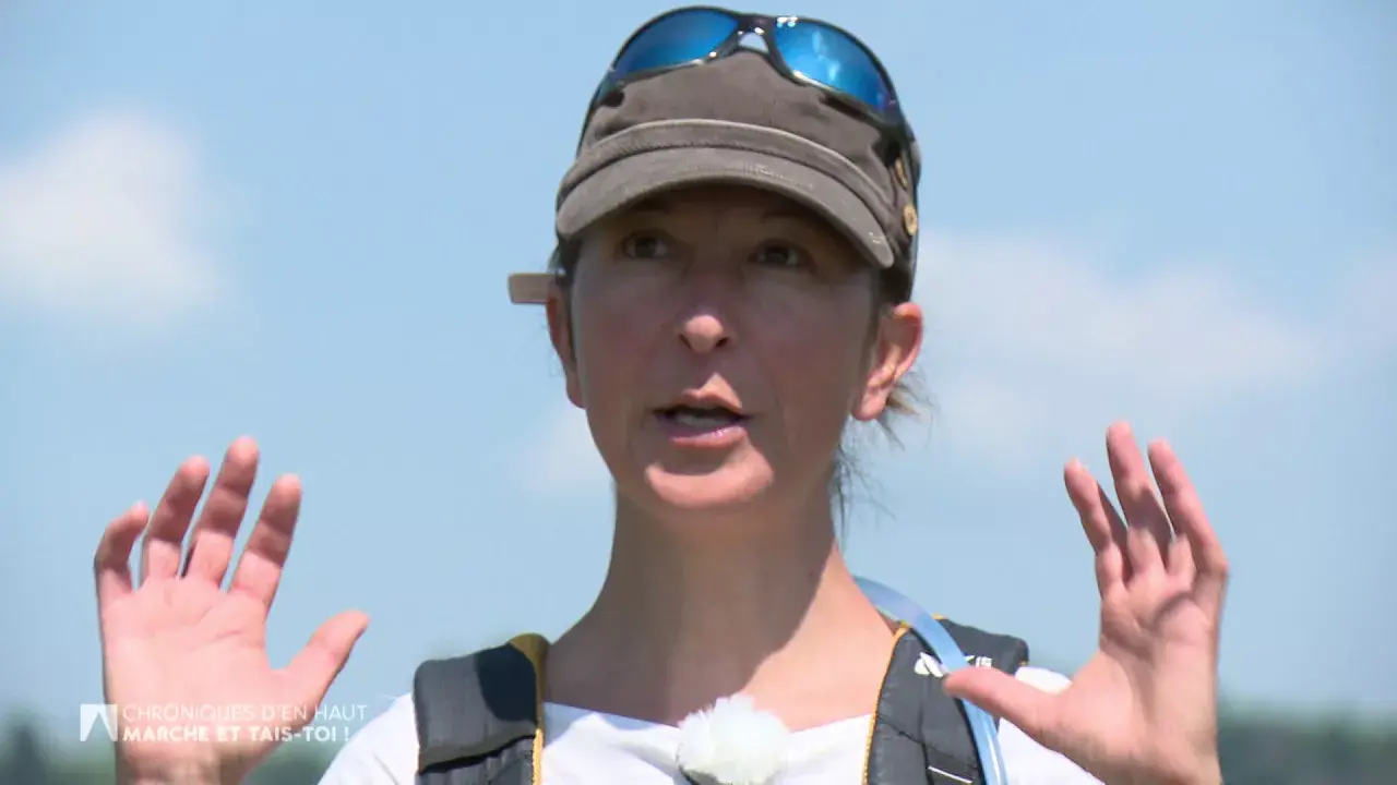 chroniques d'en haut