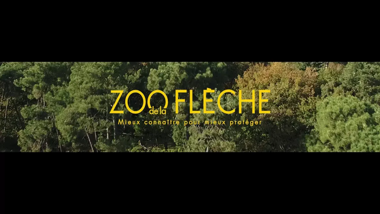 Le Zoo de La Flèche en images | 2018