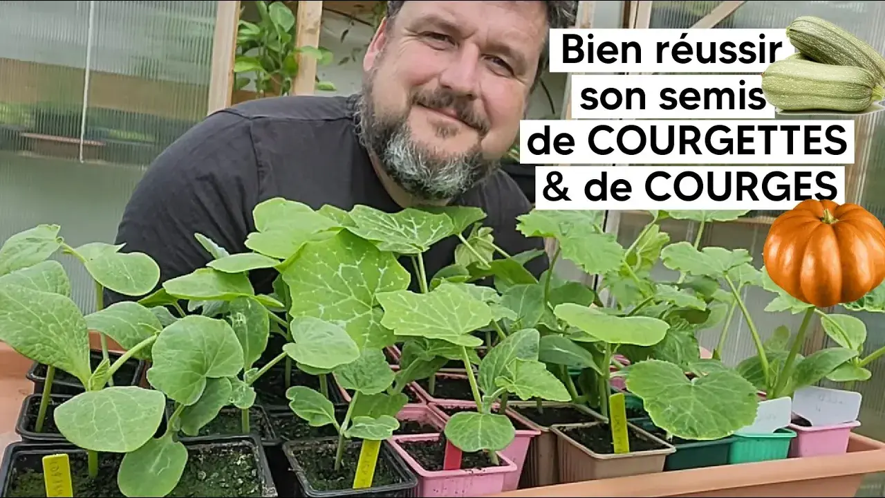Comment réussir son semis de COURGES 🎃 & de COURGETTES『TUTO』