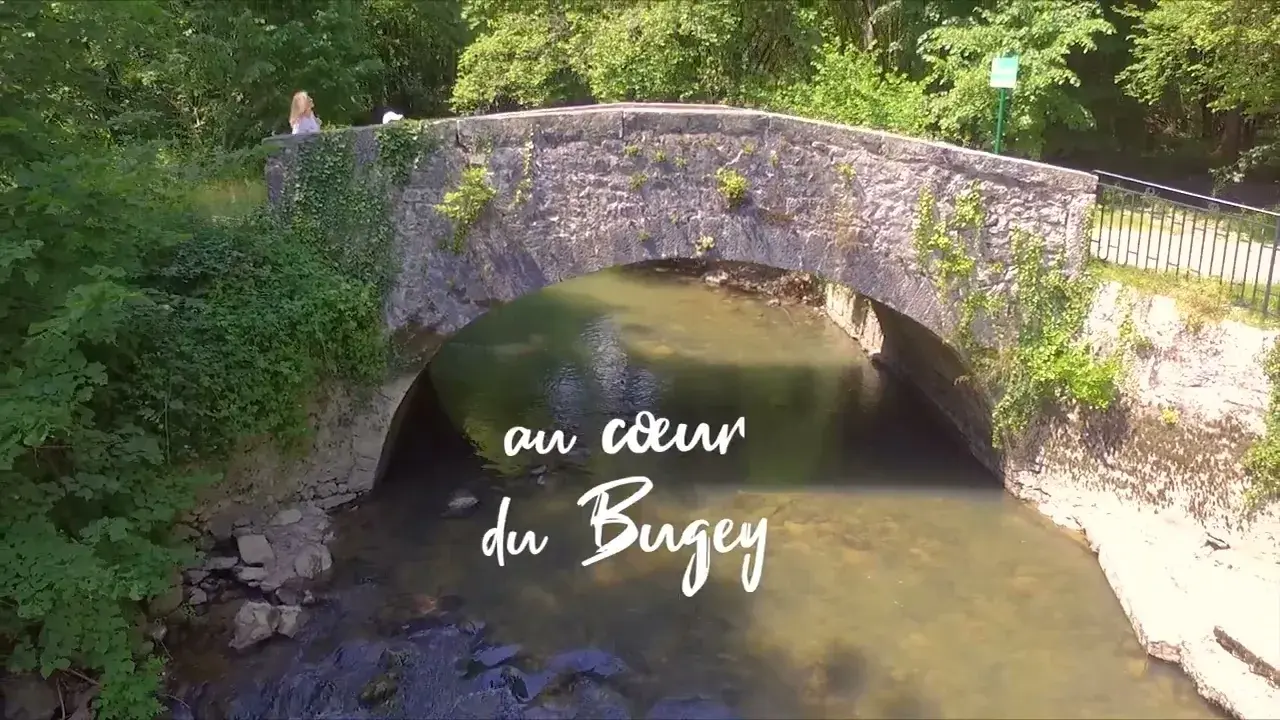 visitez la réserve naturelle nationale du marais de lavours