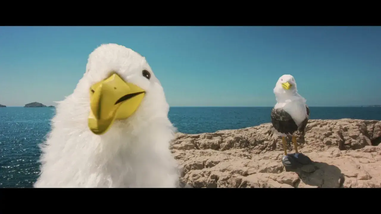 video clickandboat -