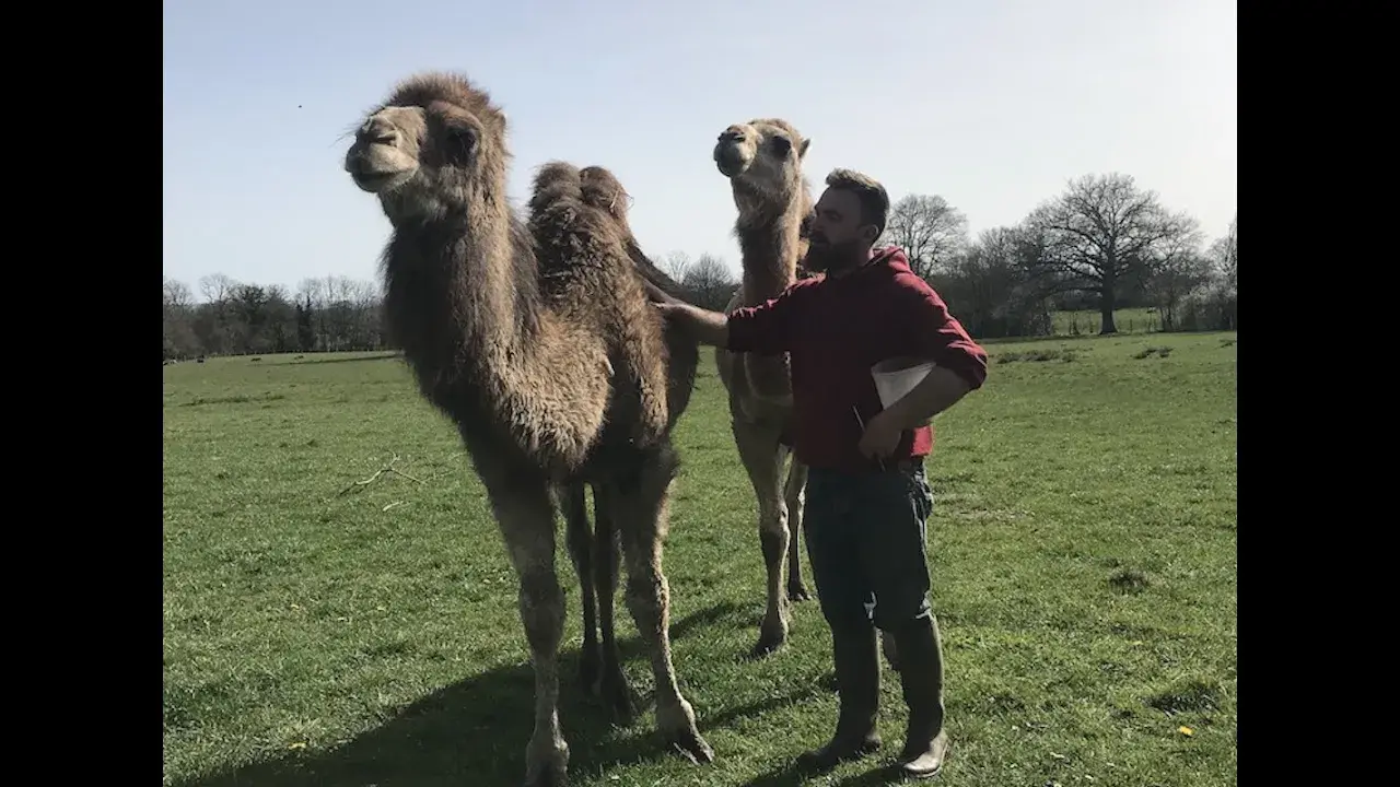 Parc animalier des Clautres - Creuse