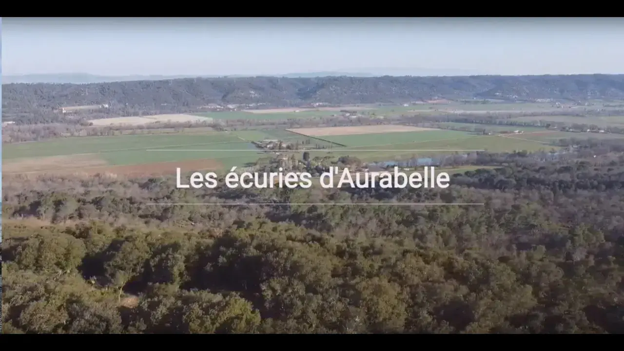 Titre de la vidéo manquant