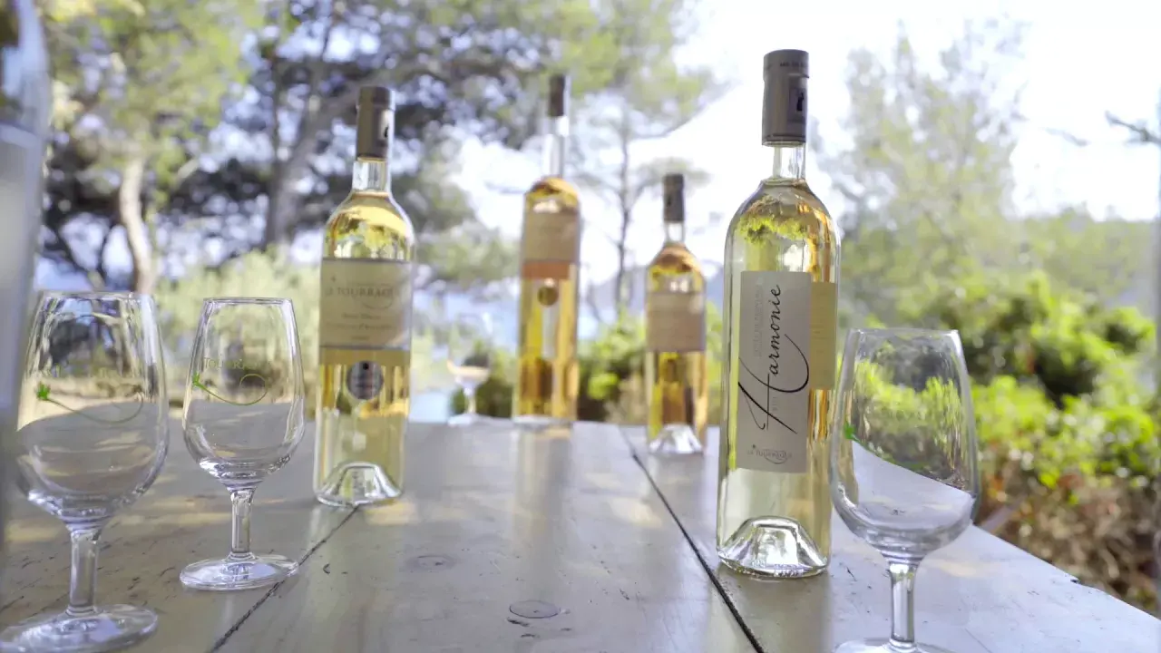 domaine la tourraque