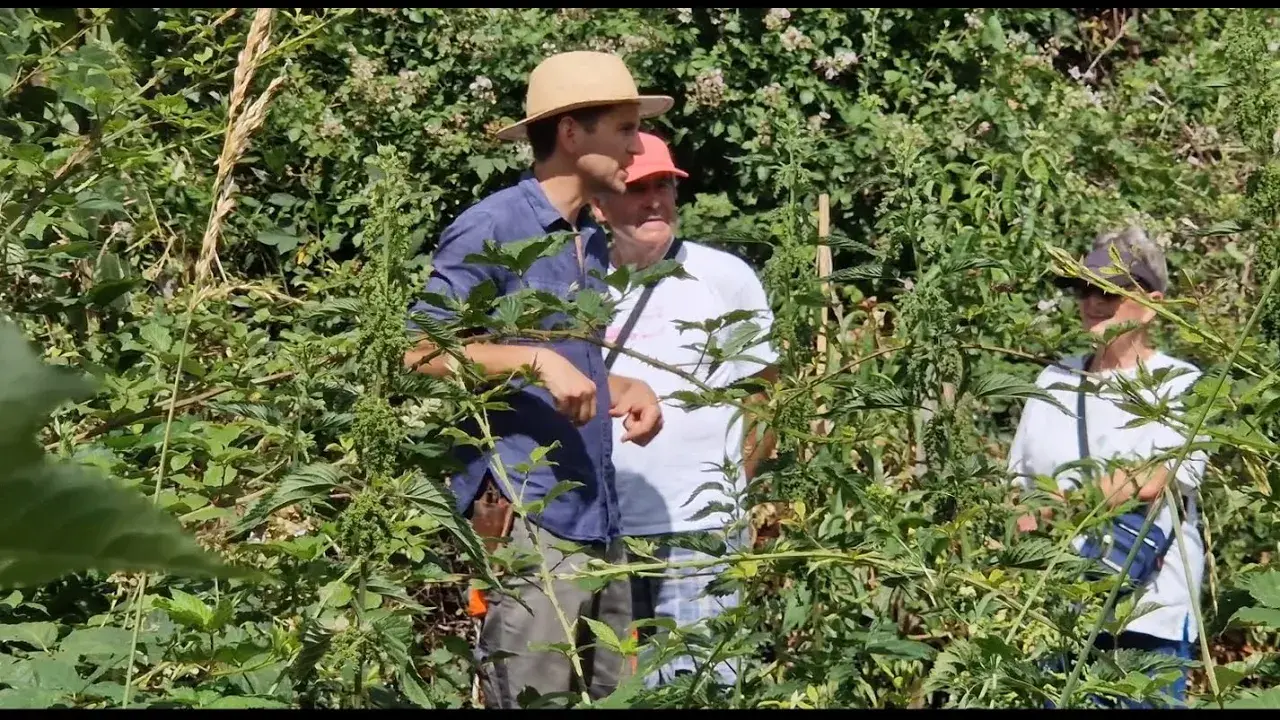 Jardin-Forêt Les Blaireautins (23-Crozant)