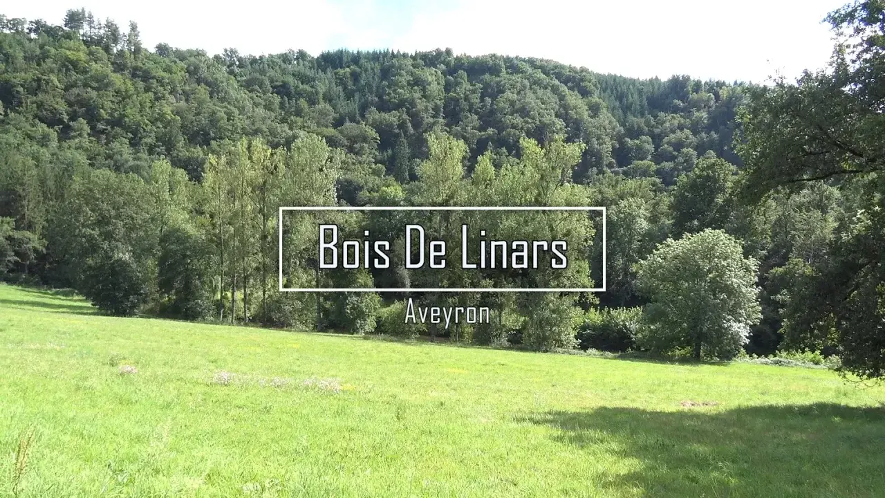 Bois de Linars (Aveyron)
