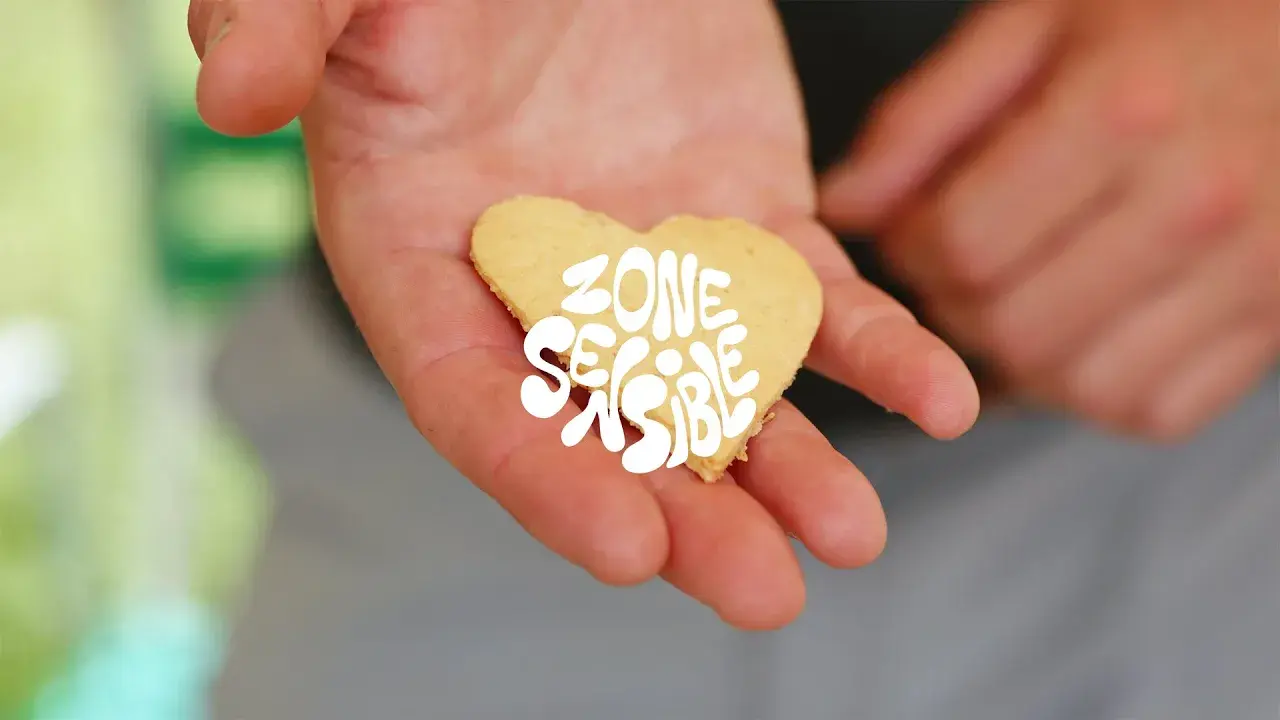 nuits des forêts 2024