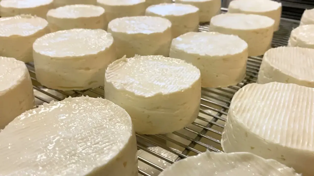 Fromagerie Le Vazereau : bienvenue à la ferme !