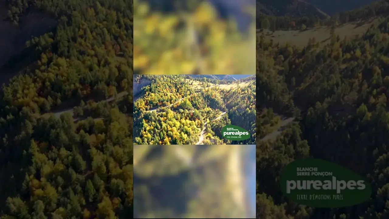 blanche serre-ponçon en automne