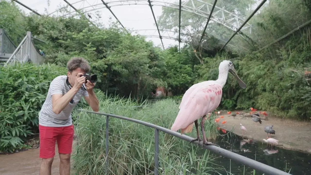 Parc des Oiseaux, un trésor niché au coeur de la Dombes