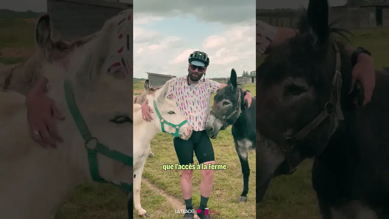 la trace a testé la boucle 21