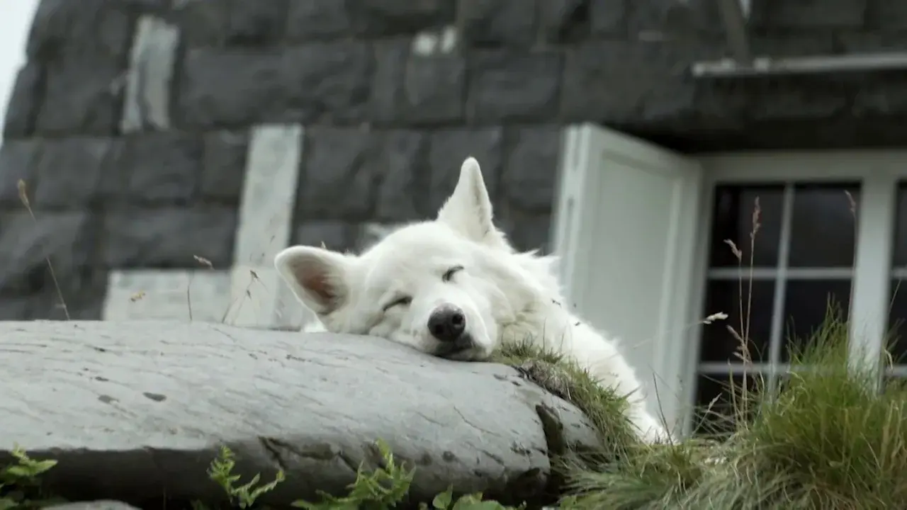 vue aérienne du tour des dents du midi