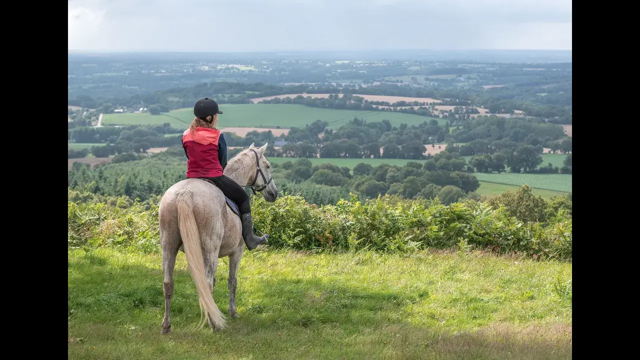 Balade éthologique au Domaine des Pierres Jumelles