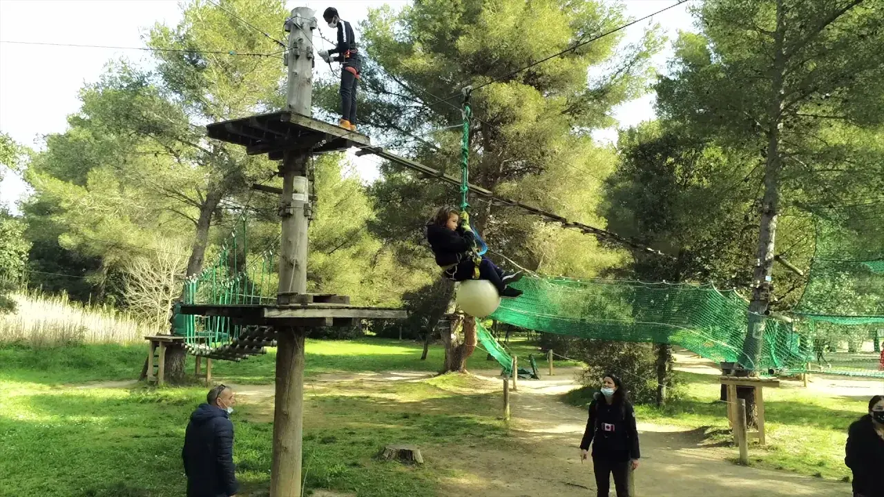 indian forest figuerolles