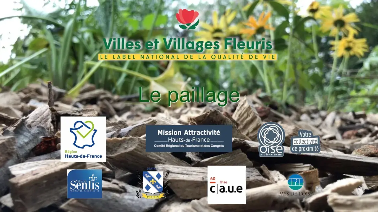 Le paillage - pratique indispensable pour une gestion environnementale