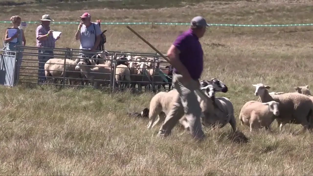 Titre de la vidéo manquant