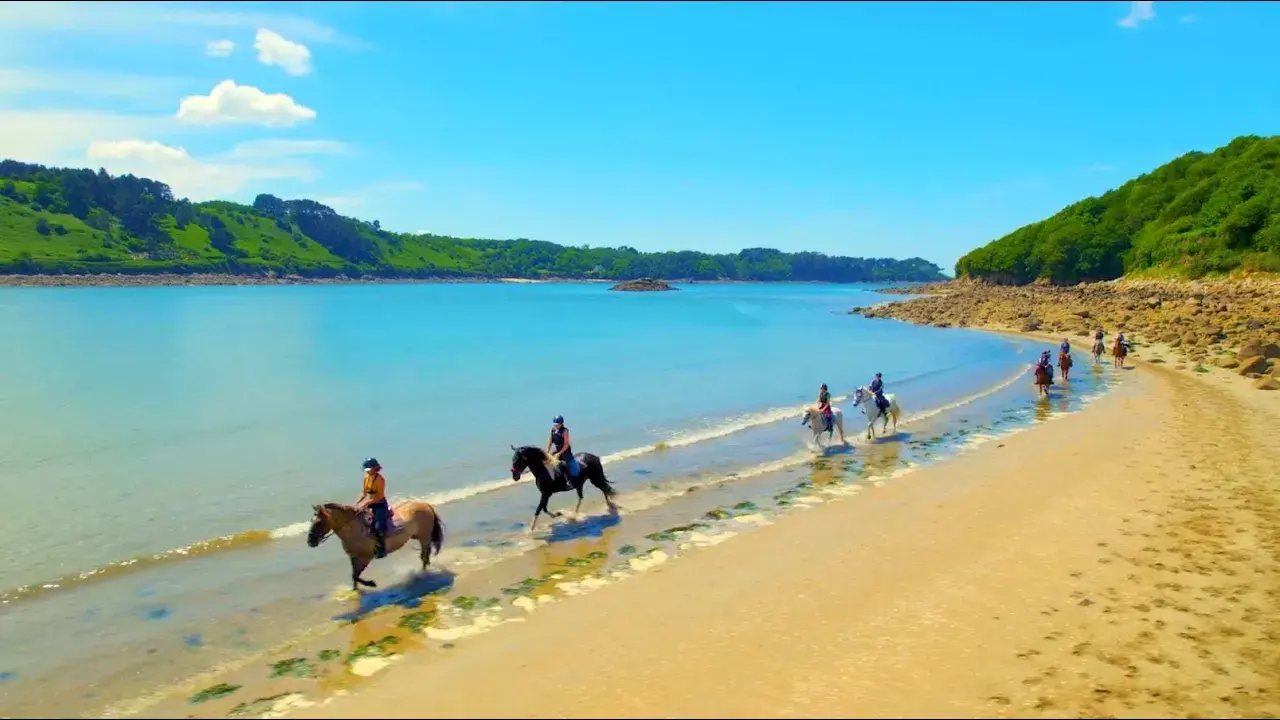 Sur la Côte de Granit Rose, une nature grandiose et protégée
