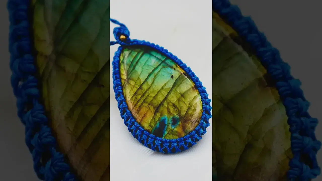 Présentation Manon Dumas