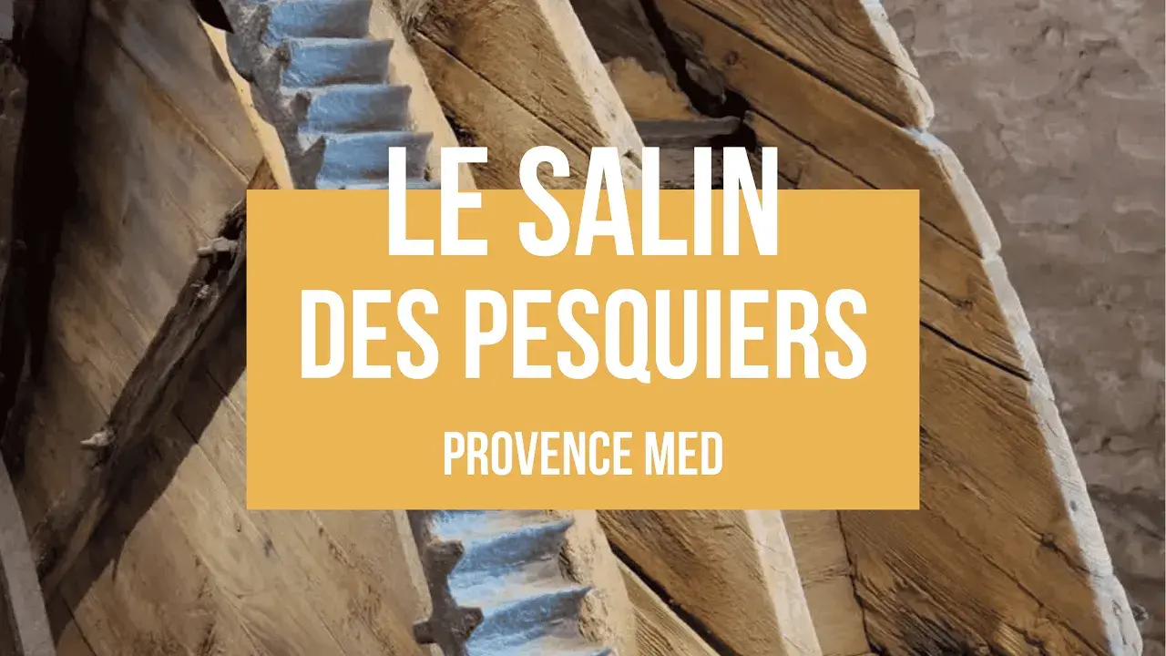 le tympan du salin des pesquiers