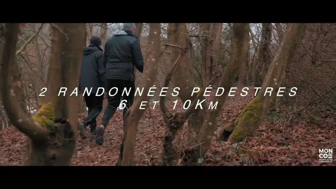 Trail de Lavault Sainte-Anne et des gorges du Cher