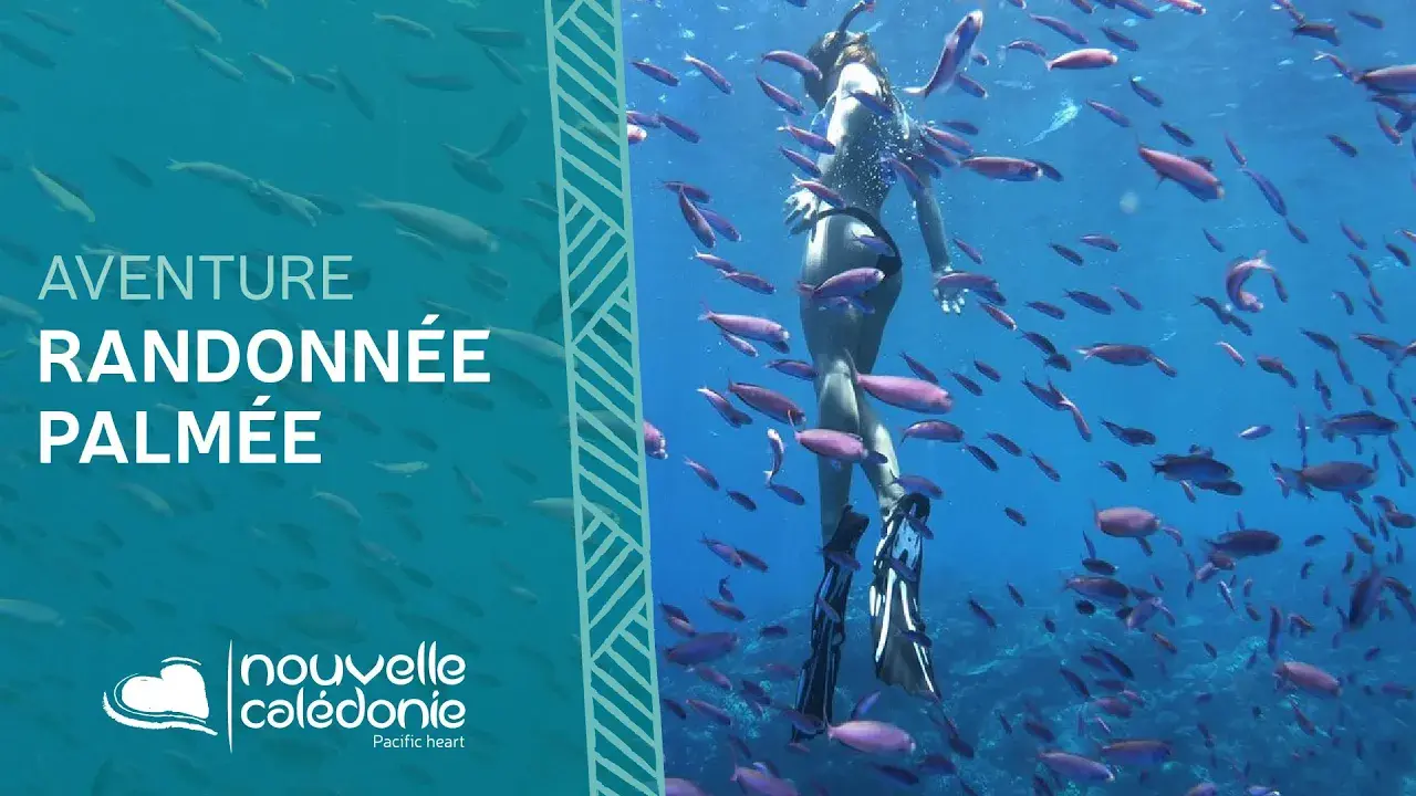 Découvrez la randonnée palmée en Nouvelle-Calédonie
