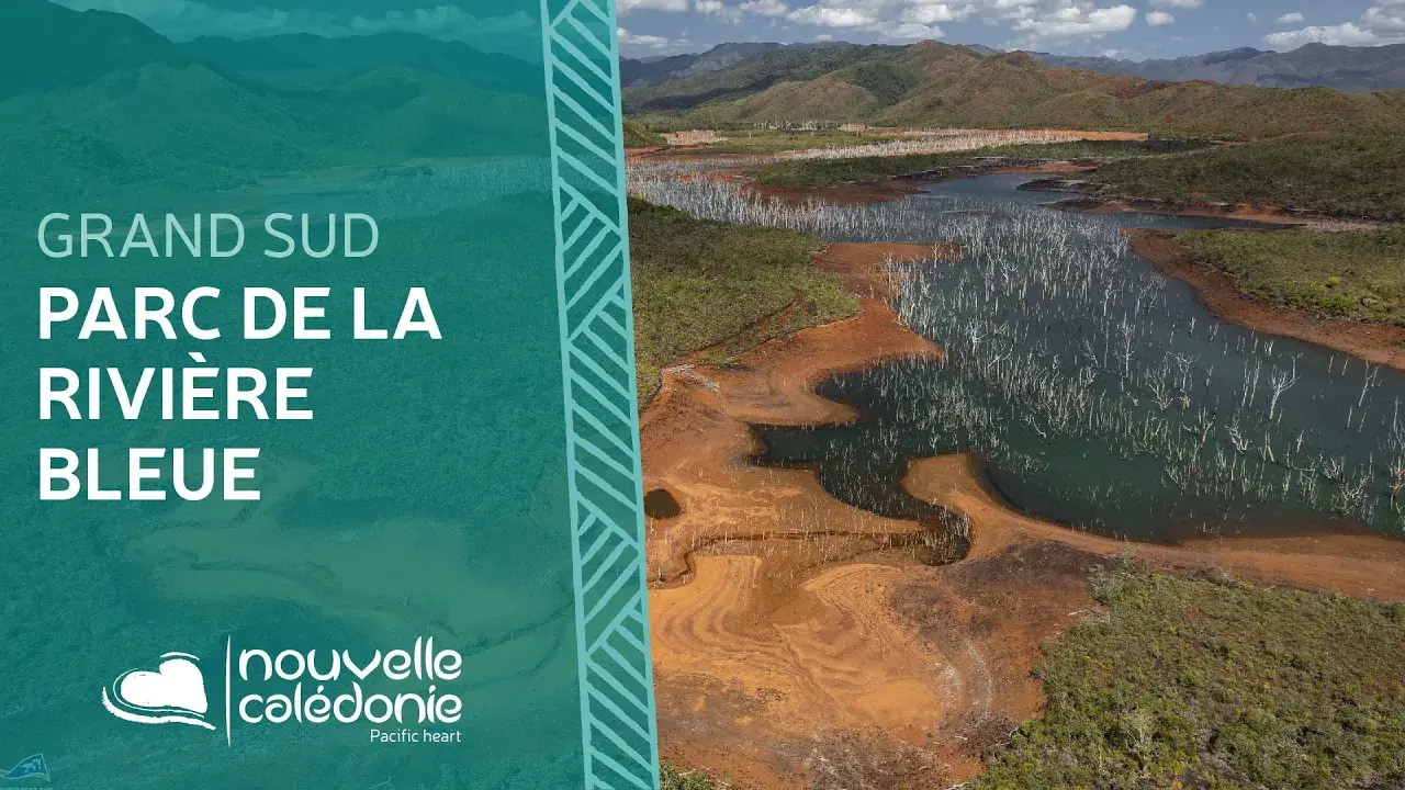 Un repère de biodiversité, le parc provincial de la Rivière Bleue