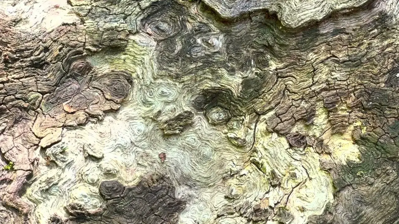 La cascade des Jarrauds (23-Creuse)