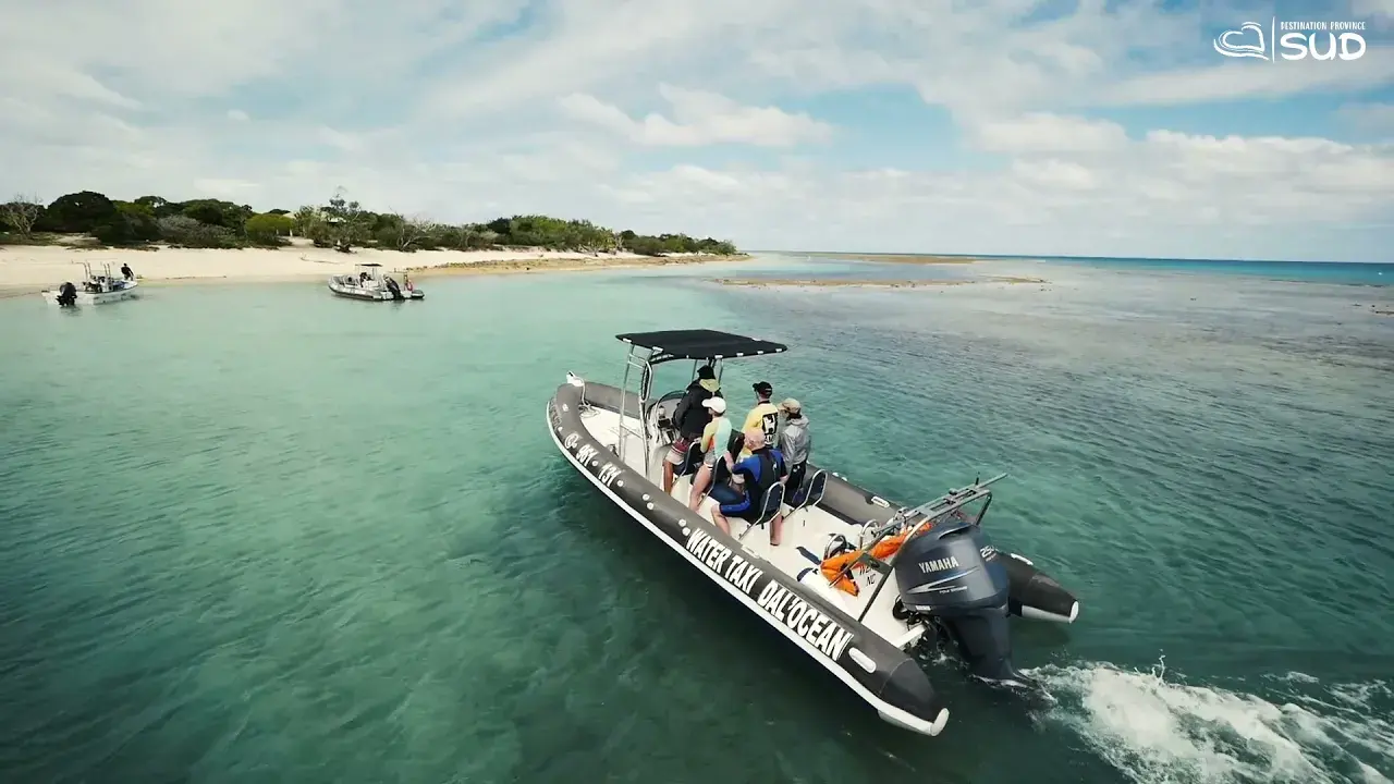 dal'ocean - sortie en mer sur le lagon calédonien