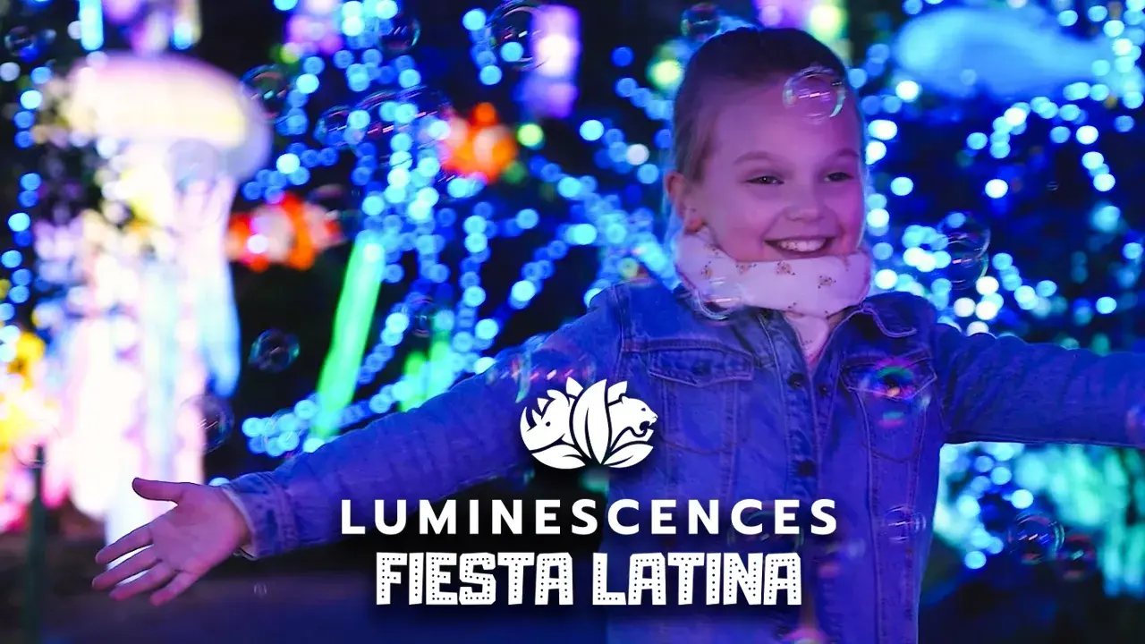 Luminescences - Fiesta Latina