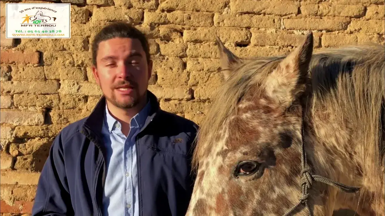 MFR TERROU ROBIN WAELES METIERS DU CHEVAL