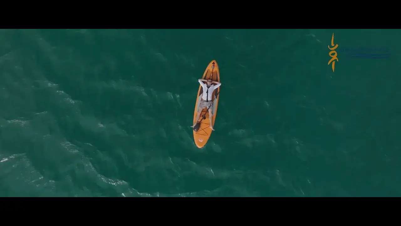 動画のタイトルが表示されない