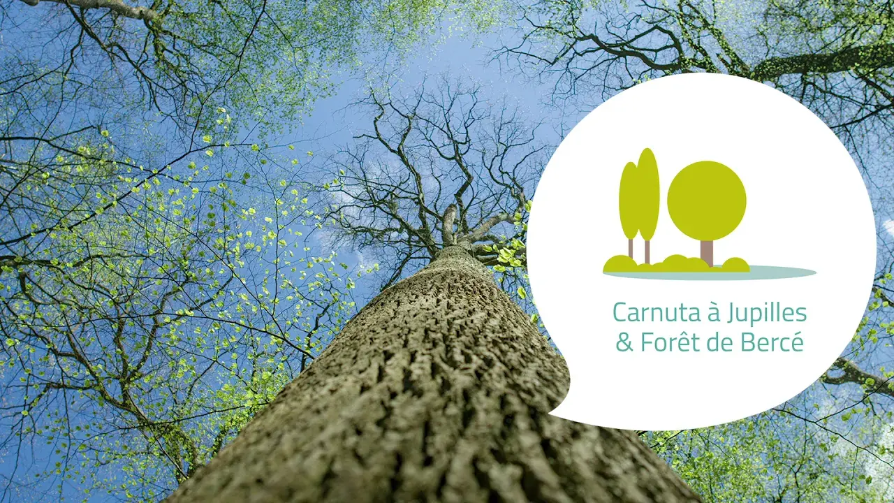 Teaser - A la Poursuite du Temps Caché