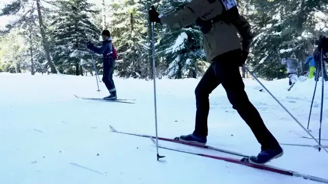 Le plateau du Roy sous la neige