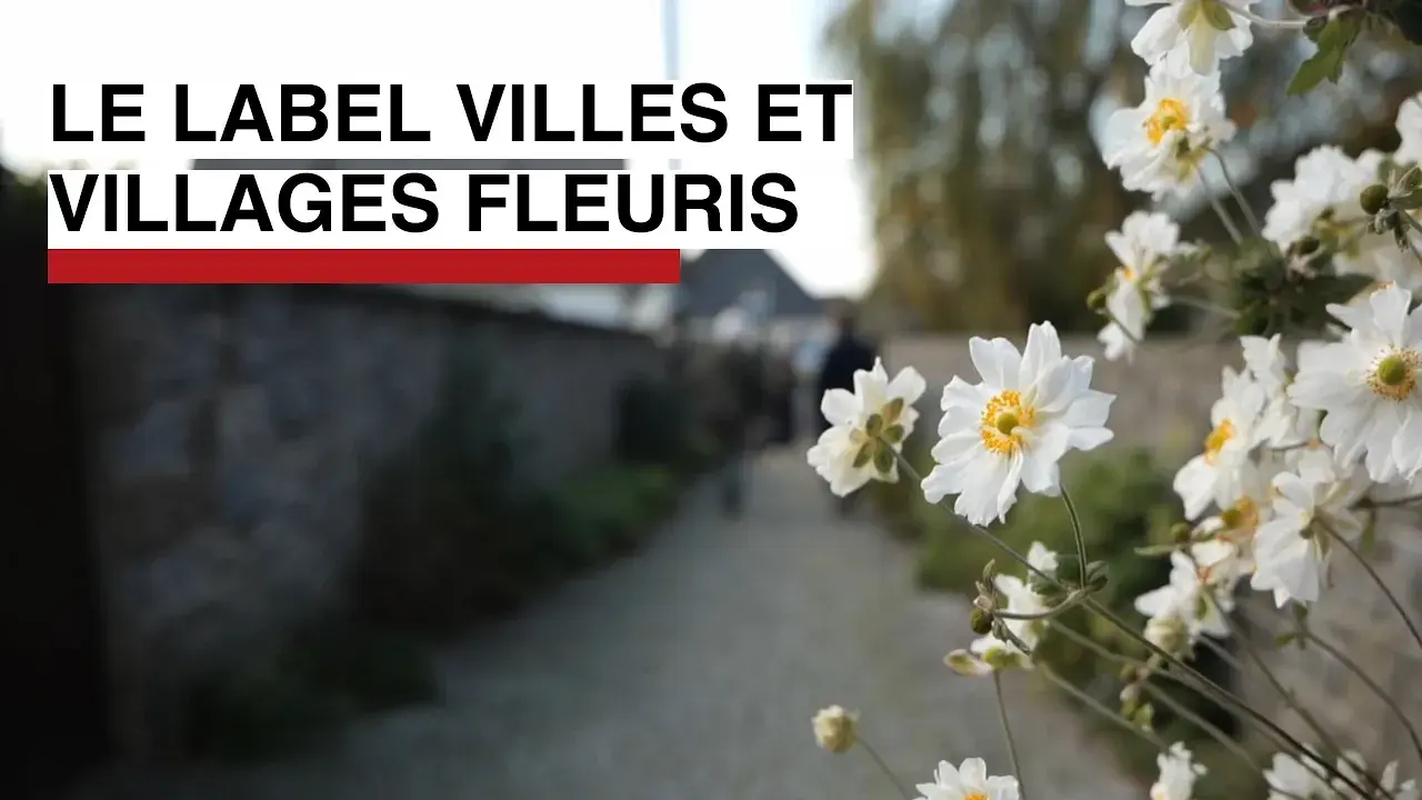 🌸 Label Villes et villages fleuris : comment le Département accompagne les communes ?