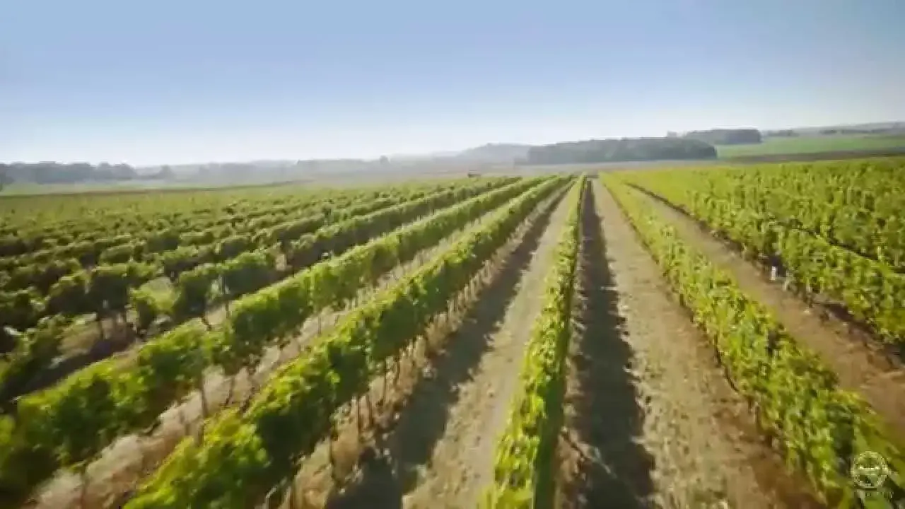 maison des vins de chambord