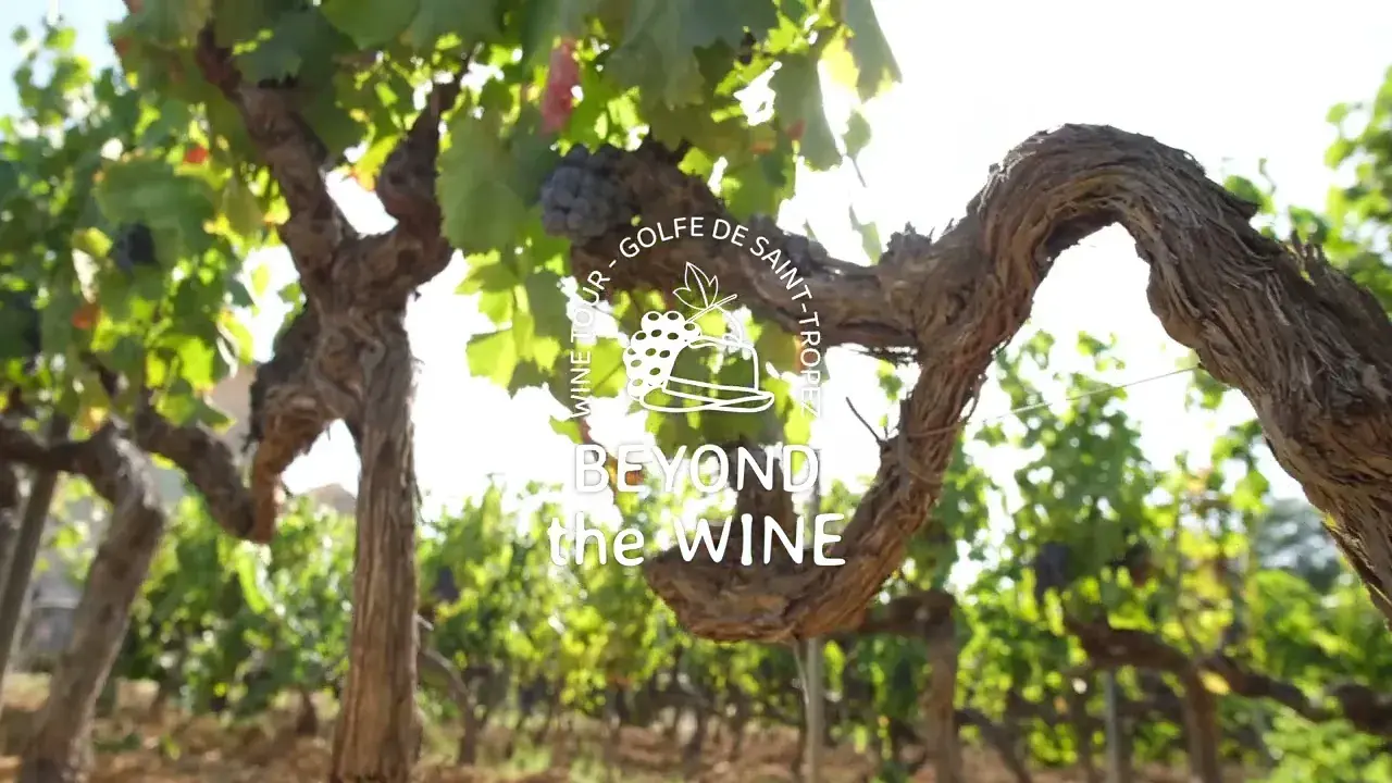 beyond the wine, wine tours golfe de saint-tropez