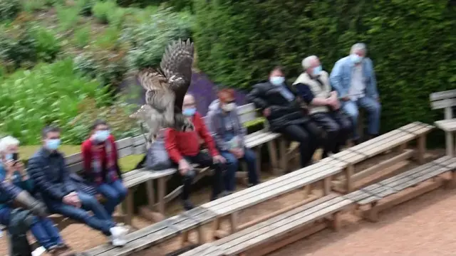 Live Châteaux en fête 2021 - Milandes