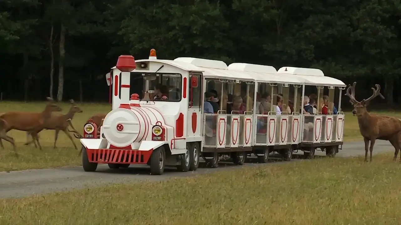 Safari Train à la Réserve de Beaumarchais