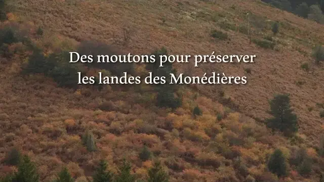 En savoir plus sur le site Natura 2000 Landes des Monédières