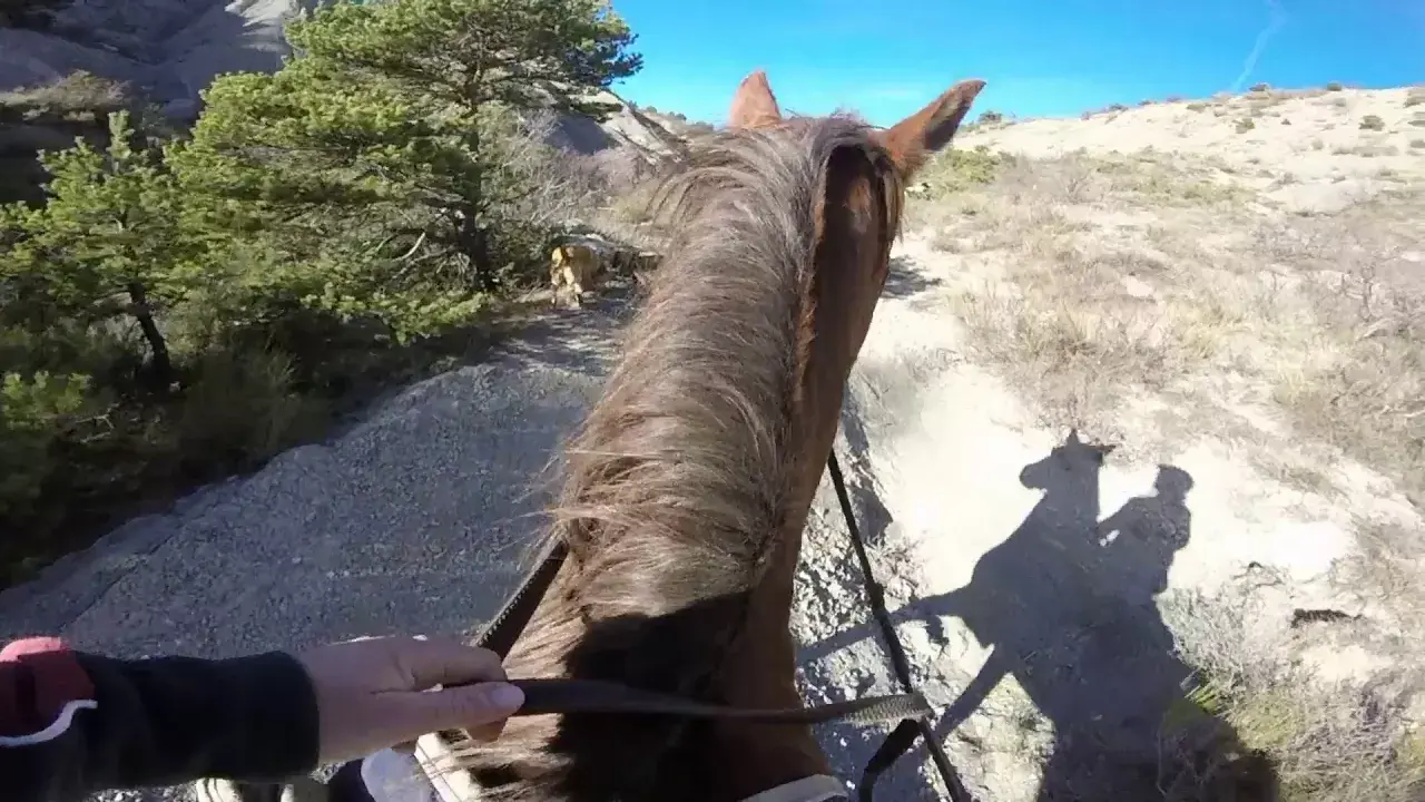 centre équestre les eysserennes buëch